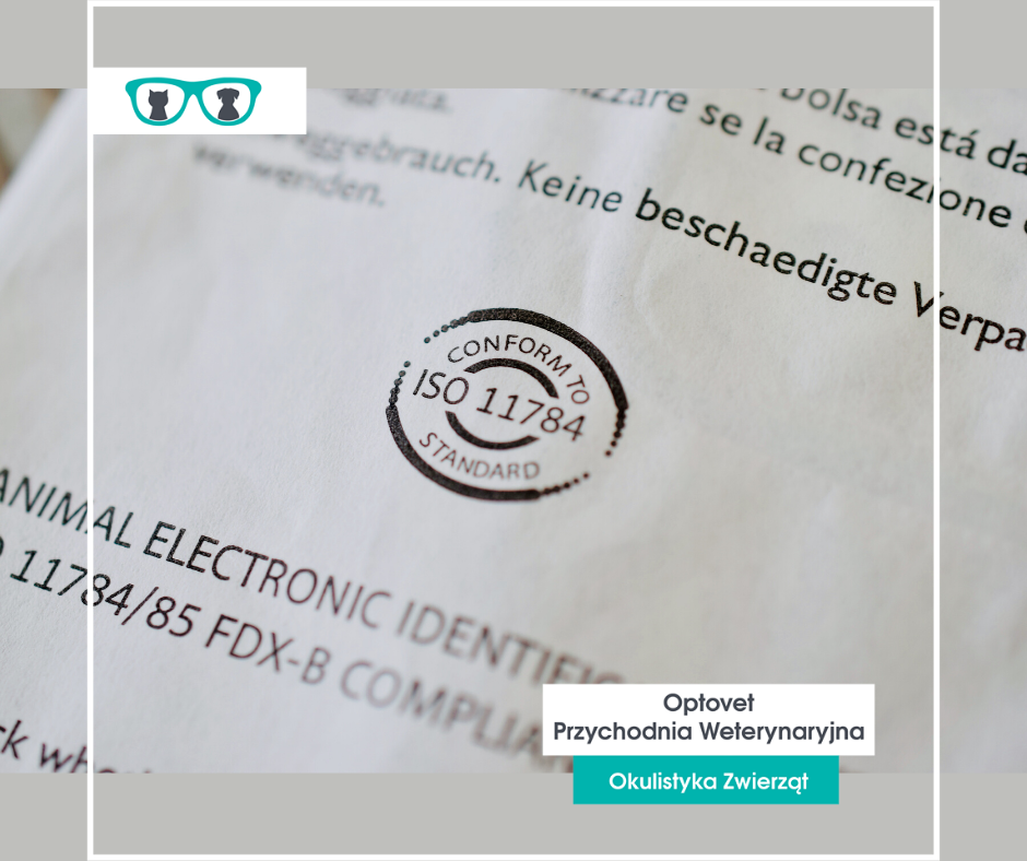 Na zdjęciu widać opakowanie sterylne w którym znajduje się transponder z odpowiednimi certyfikatami